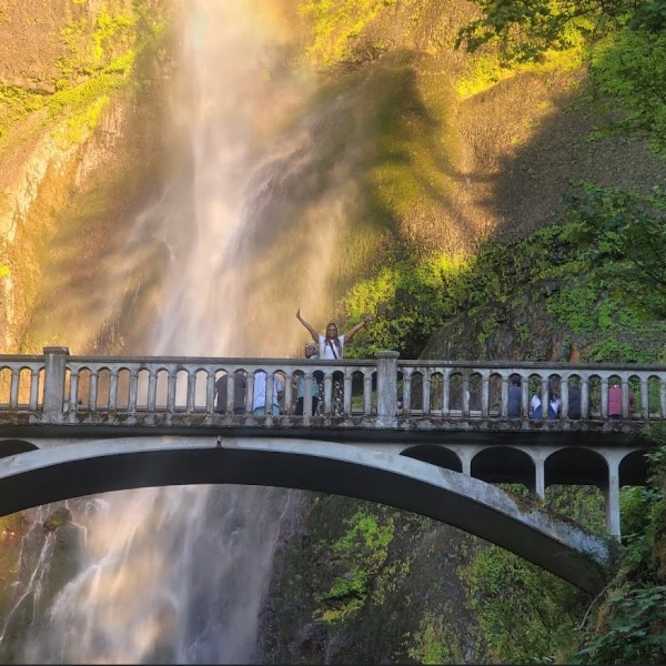 a train crossing a bridge over a river