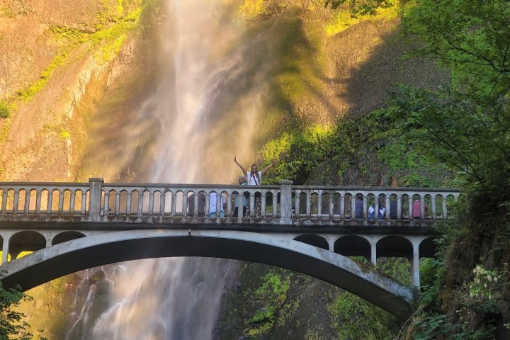 a train crossing a bridge over a river