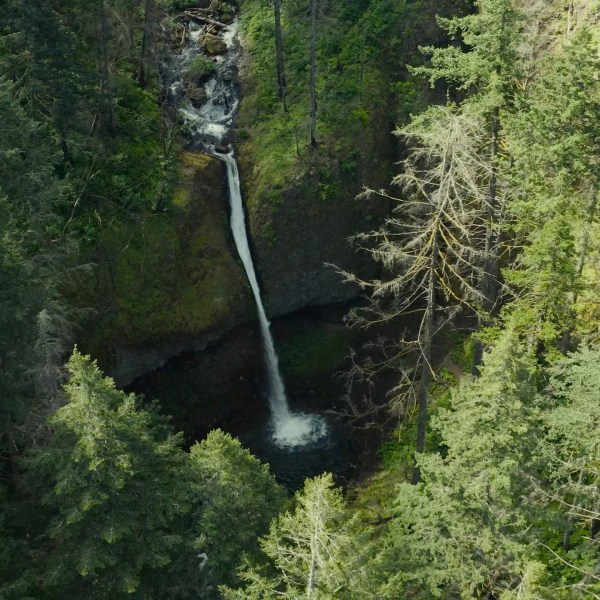 a waterfall in a forest