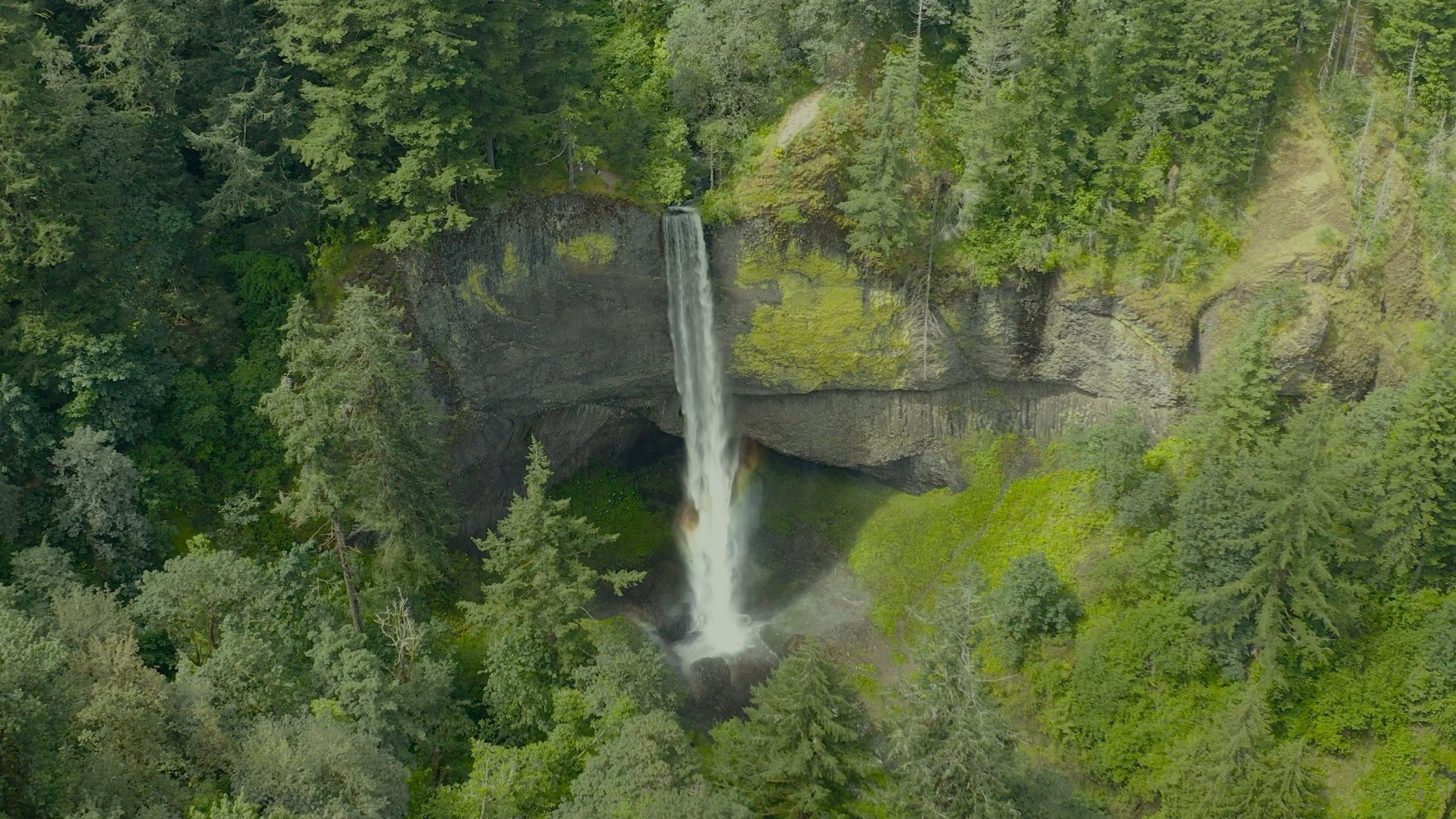 a large waterfall in a forest