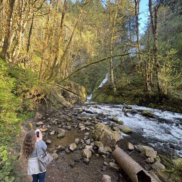 a group of people in a forest