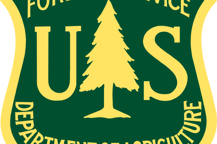 US Forest Service emblem with tree and text in yellow on green background.