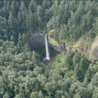 latourell falls in a forest