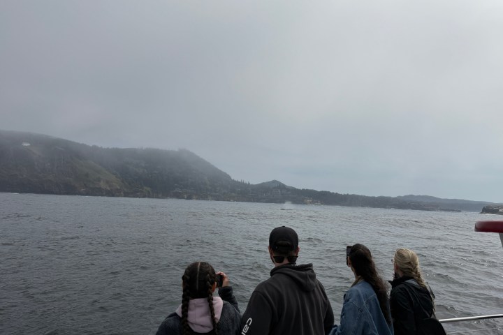 Four people on a boat looking at misty hills across the water.
