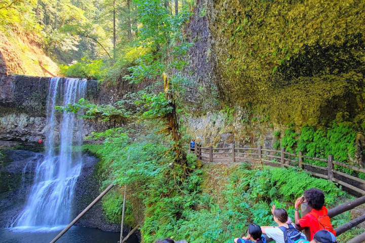 Group of people observing a waterfall and lush greenery from a fenced path.