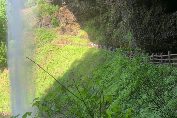 Waterfall with trail and hikers under rocky overhang, surrounded by lush greenery.
