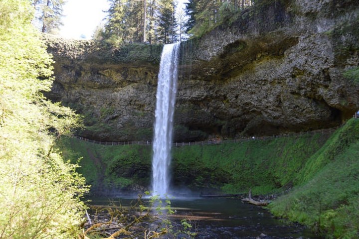 Tall waterfall cascading over a cliff into a pool surrounded by lush greenery and trees.