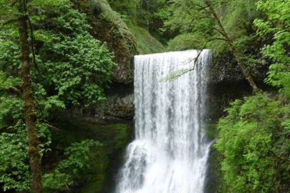 Waterfall cascading over rocks surrounded by lush green trees and foliage.