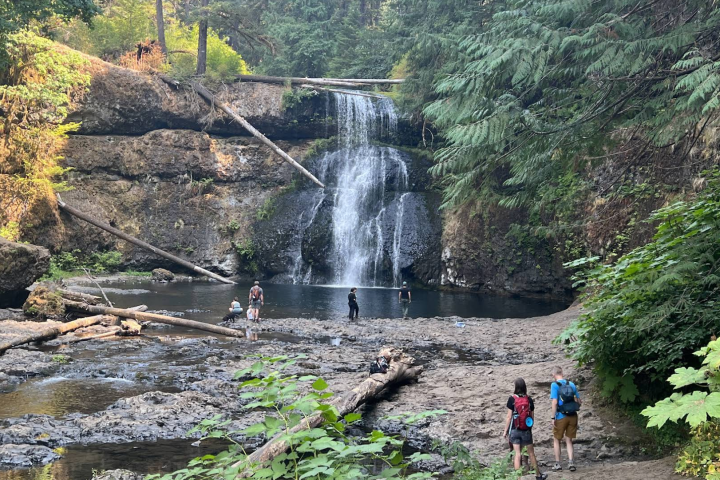 Hikers admire a waterfall cascading into a forested basin on a sunny day.