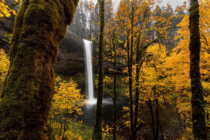 Waterfall surrounded by trees with yellow leaves in autumn.