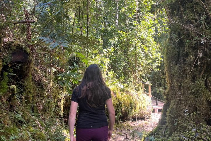 Person hiking through a lush forest, carrying an orange water bottle.