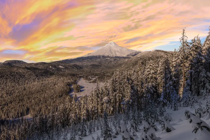 Snow-covered forest and mt hood under a vibrant sunset sky.