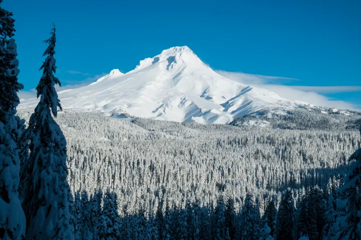 Snow-covered mt hood peak with forest and blue sky.