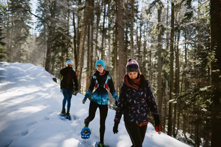 Three people snowshoeing on a snowy mt hood forest trail in winter clothing.