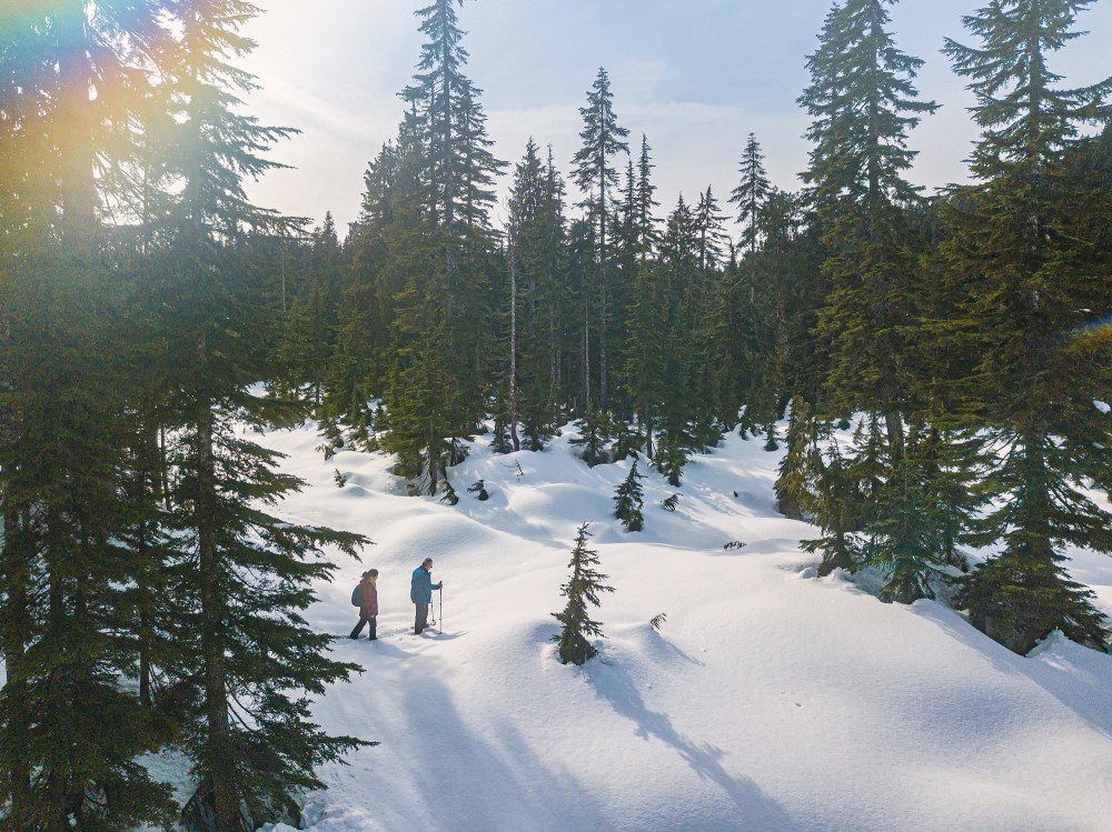 Two people snowshoeing mt hood through a snowy forest with evergreen trees in sunlight.